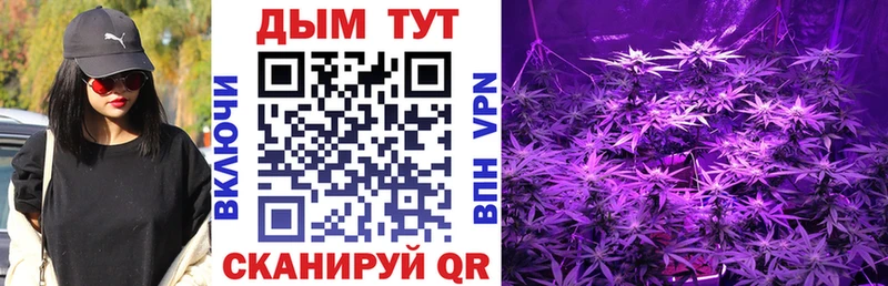 Купить закладки  Нижний Тагил  Каннабис VHQ 